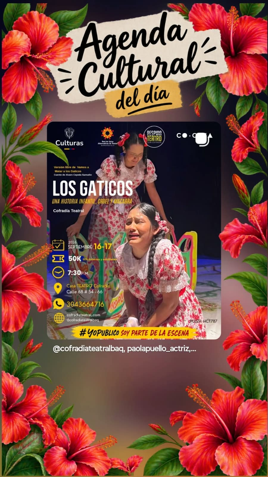 LOS GATICOS